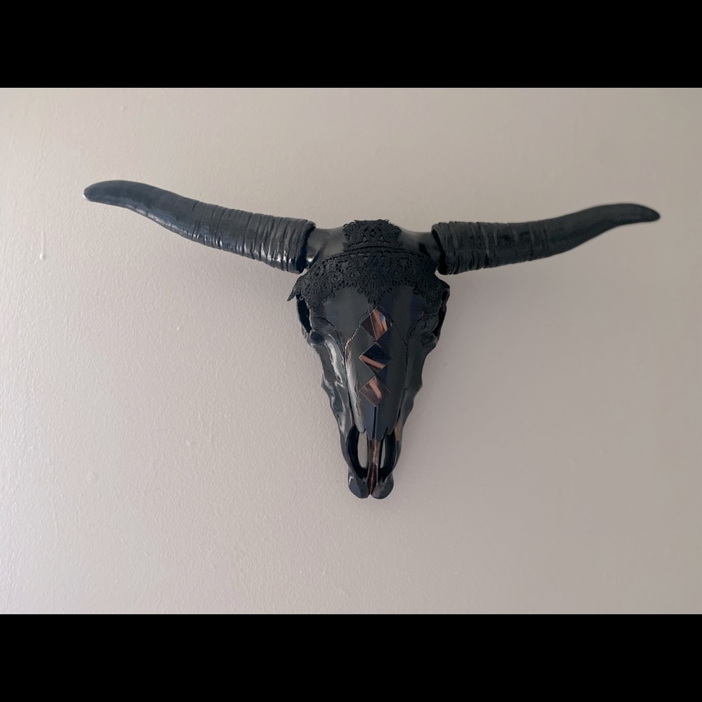 Hand painted skull